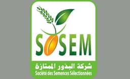 Sosem