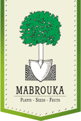 Mabrouka
